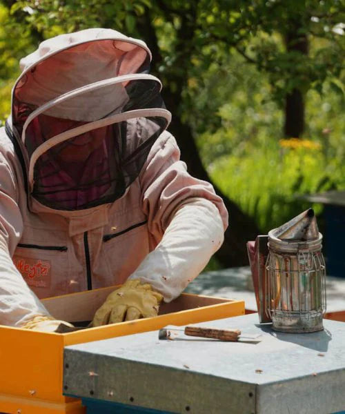 Honey Collecting